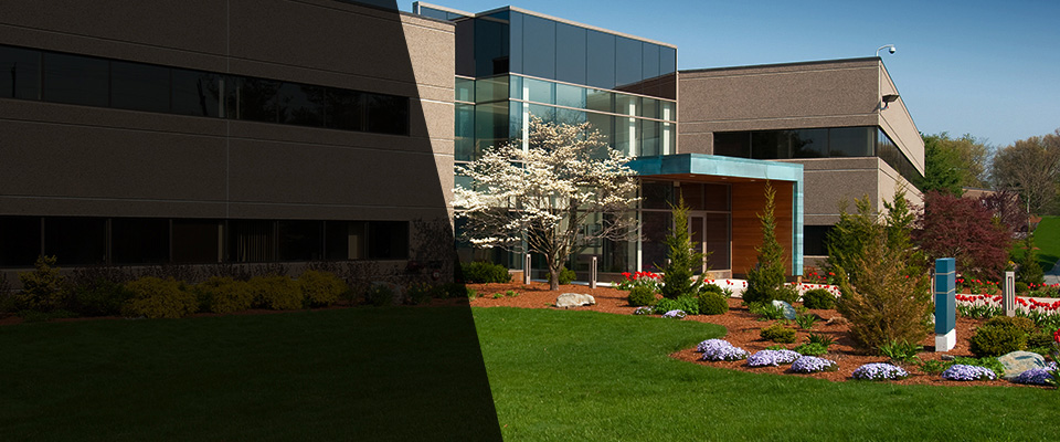 Elliston Landscapers