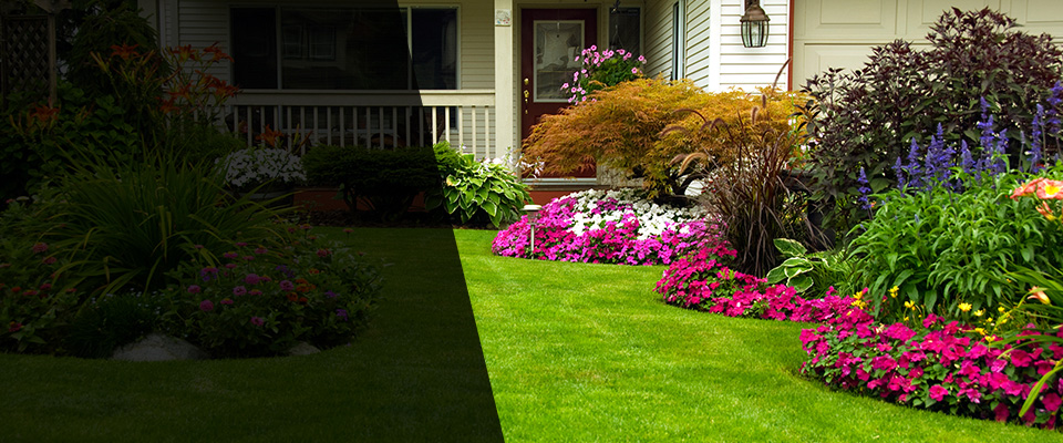 Elliston Landscapers