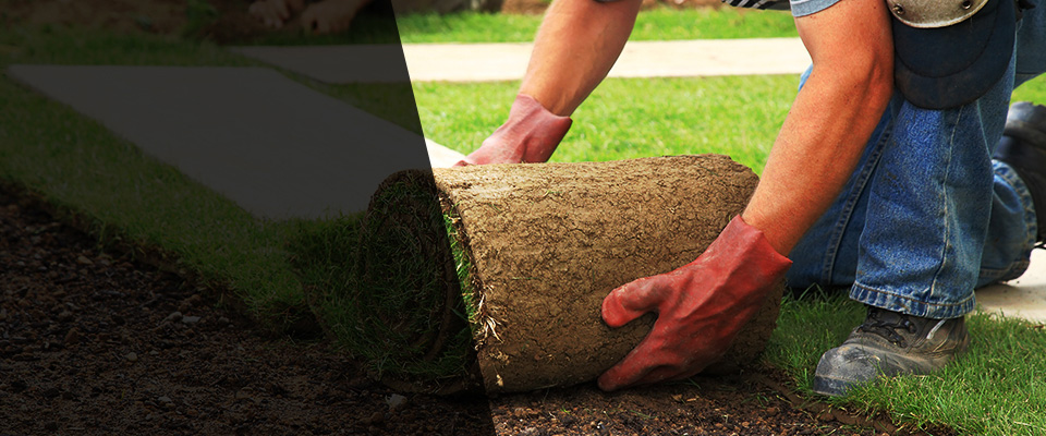Elliston Landscapers